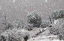 Kodocrome Basin Snow Storm d.jpg